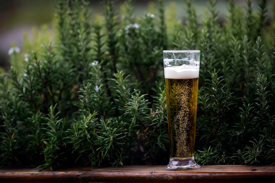 A refreshing glass of chilled beer surrounded by vibrant green plants outdoors.