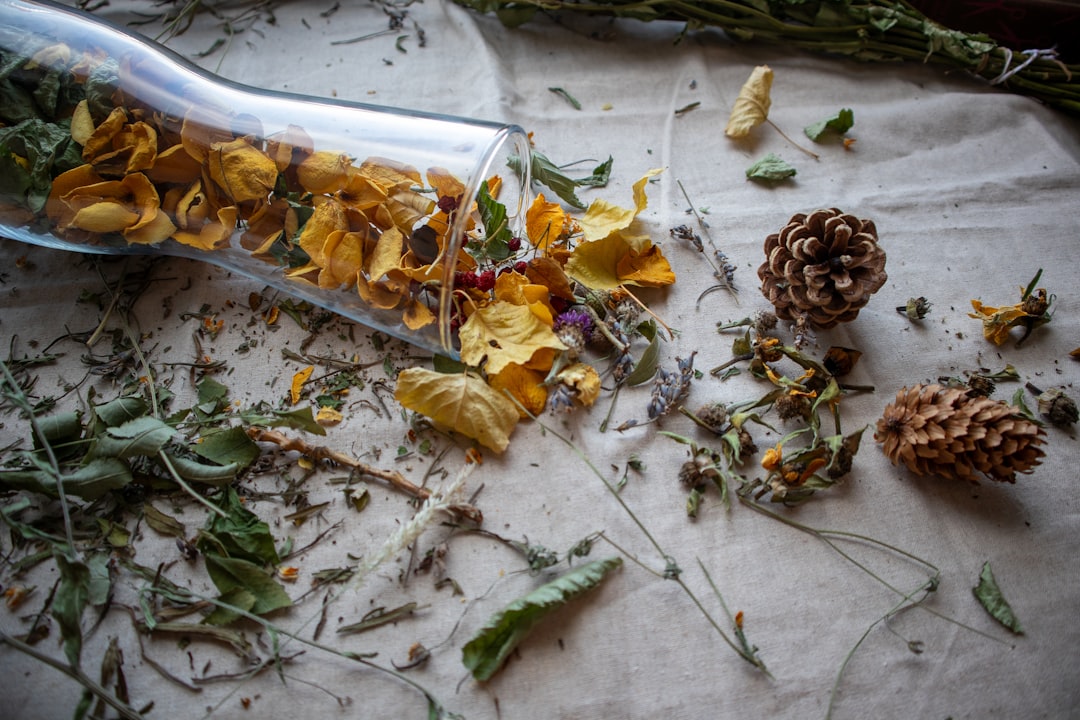 A bottle filled with dried flowers and a pine cone