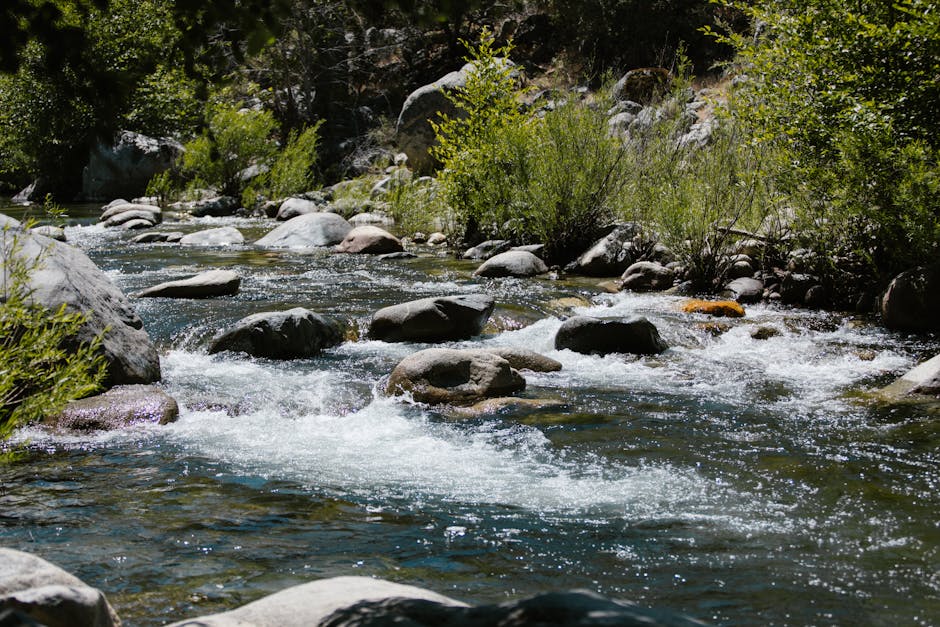 A serene river flowing through a verdant forest with rocks and greenery.